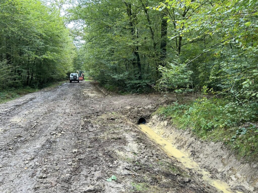 t-p-j.fr - chemin de bois boueux et humide avec fossé évacuant les eaux
