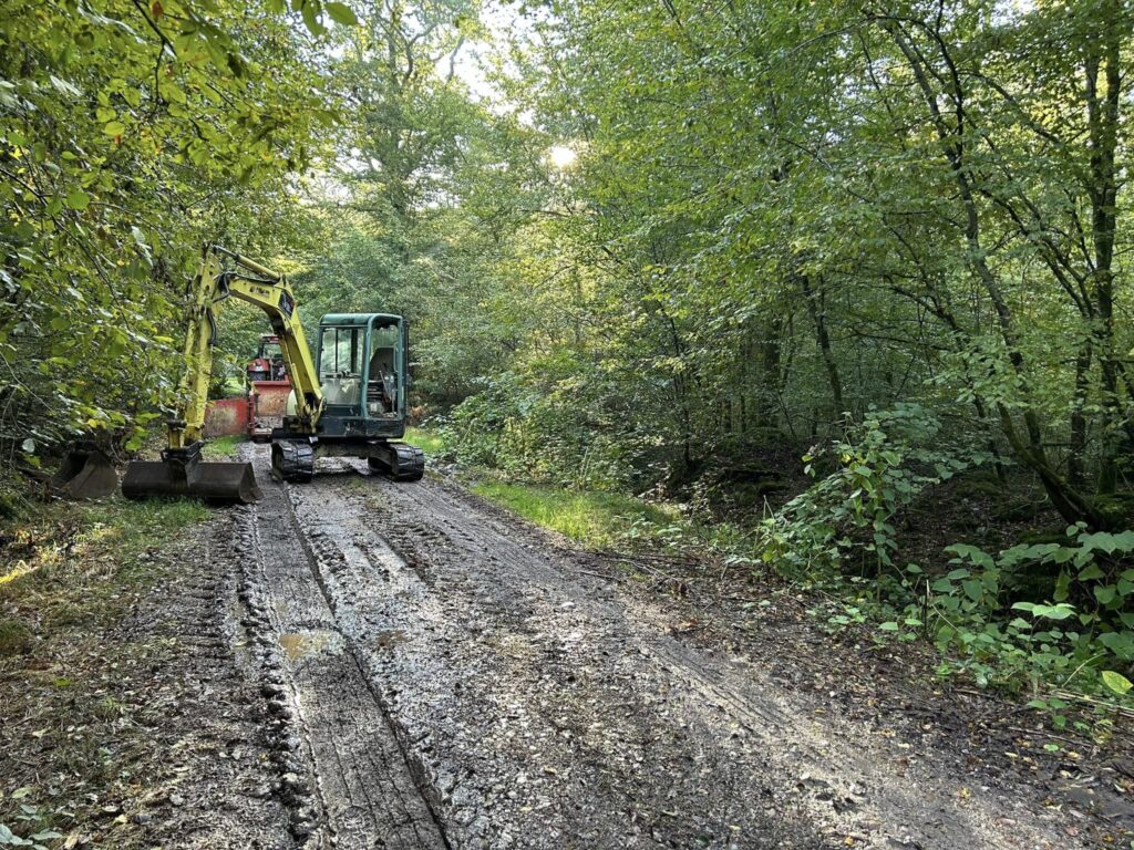 t-p-j.fr - engin de chantier dans bois boueux et humide creusant une tranchée