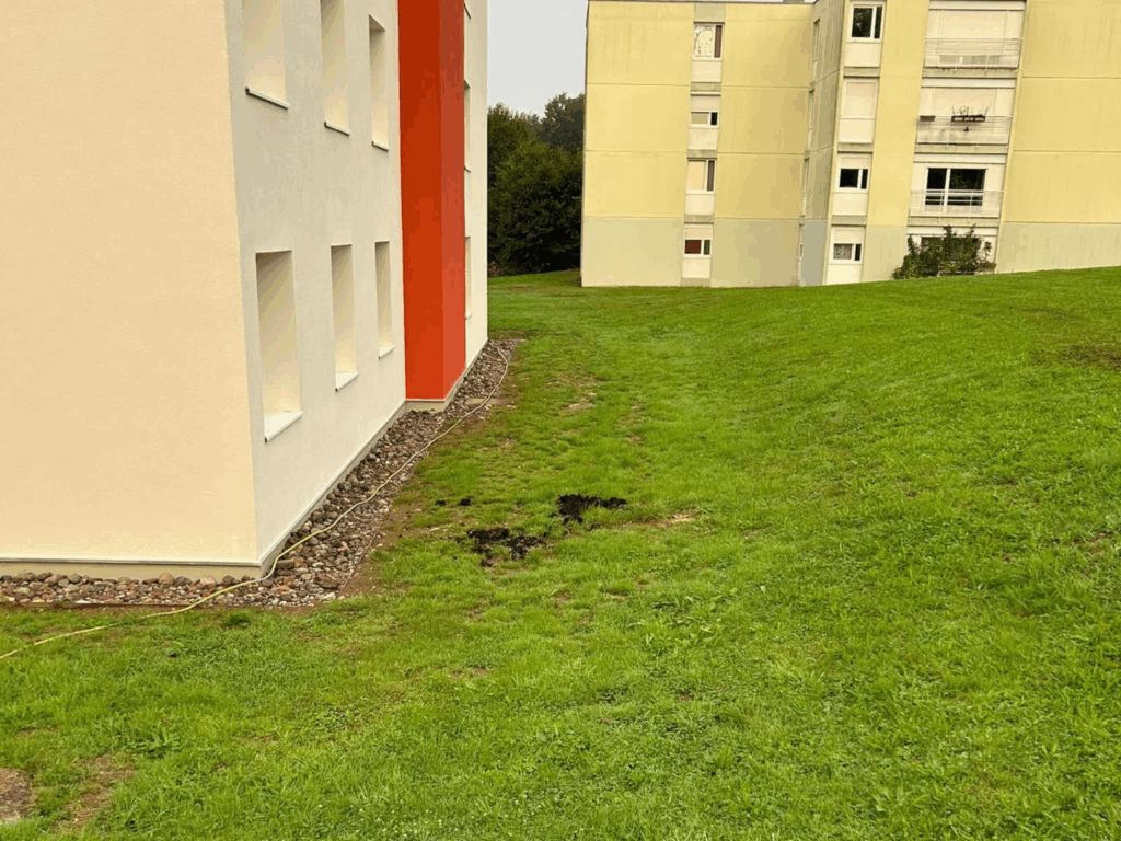 t-p-j.fr - terrain devant immeuble avant retournement de la terre